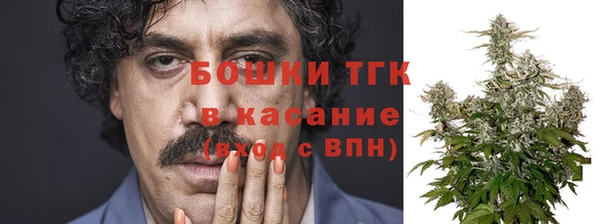 дмт Алексин