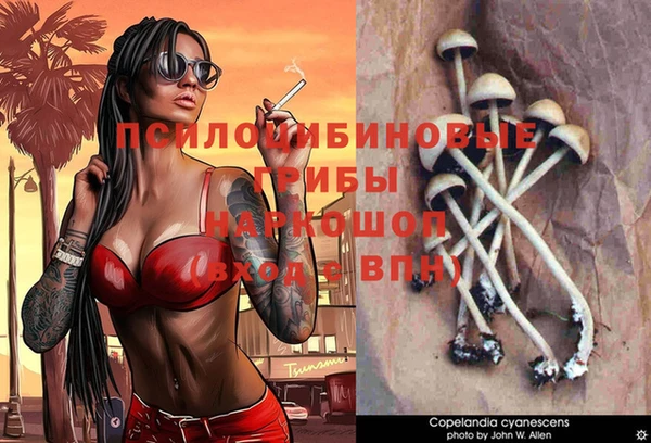 spice Абаза