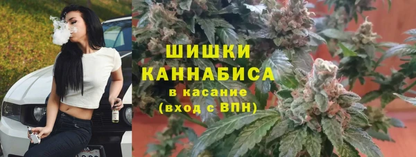 мдпв Саяногорск