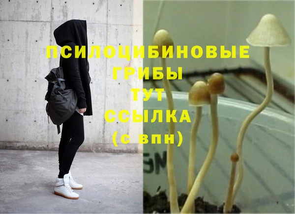 spice Абаза