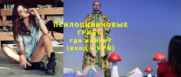 мдпв Саяногорск