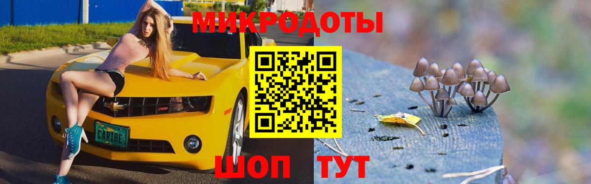 Галлюциногенные грибы Cubensis Ивантеевка