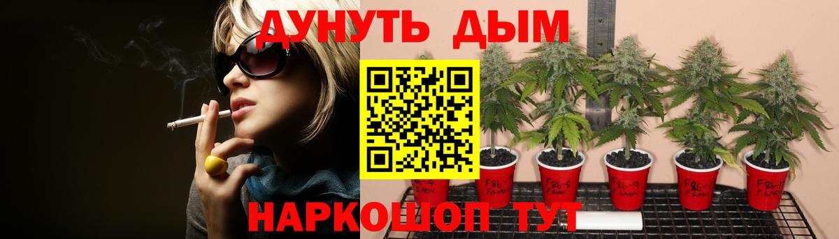 Шишки марихуана гибрид Ивантеевка
